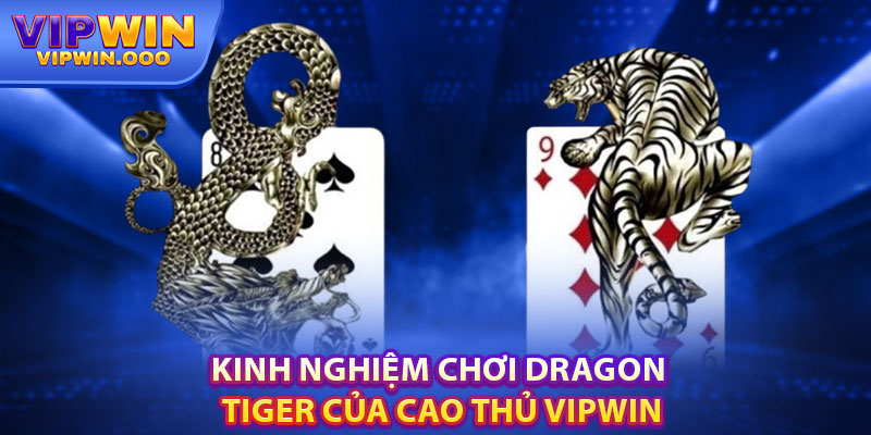 Rồng Hổ Vipwin: Chia Sẻ Thông Tin Thú Vị Cho Người Mới 2025 6 Kinh Nghiệm Chơi Dragon Tiger Của Cao Thủ Vipwin