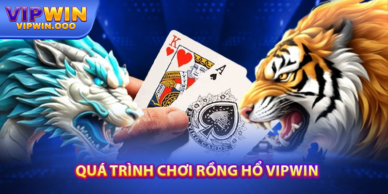Rồng Hổ Vipwin: Chia Sẻ Thông Tin Thú Vị Cho Người Mới 2025 4 Quá Trình Chơi Rồng Hổ Vipwin
