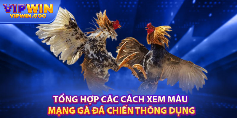 Màu Mạng Gà Đá – Cách Và Mẹo Lựa Chọn Chú Chiến Kê 3 Tổng Hợp Các Cách Xem Màu Mạng Gà Đá Chiến Thông Dụng